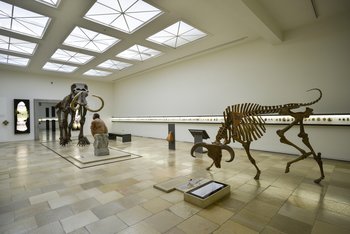 Der mächtige Auerochse in Angriffsstellung nötigt dem Betrachter unweigerlich großen Respekt vor der Leistung der urgeschichtlichen Jäger ab. © Landesamt für Denkmalpflege und Archäologie Sachsen-Anhalt, Juraj Lipták.