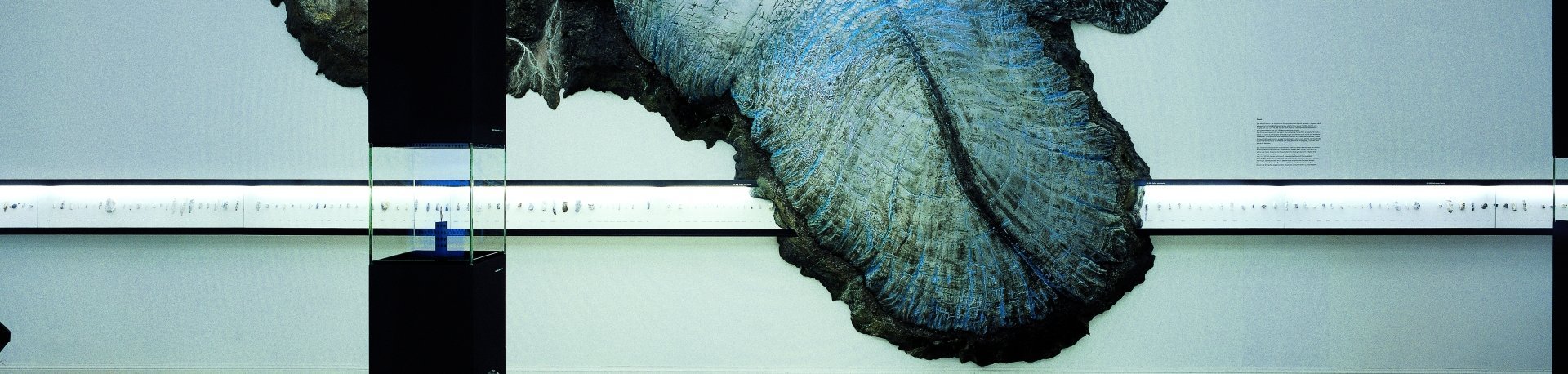 In der Ausstellung schiebt sich die bisher letzte Vereisung Richtung Süden vor und unterbricht im nördlichen Sachsen-Anhalt die Fundüberlieferung. © Landesamt für Denkmalpflege und Archäologie Sachsen-Anhalt, Juraj Lipták.