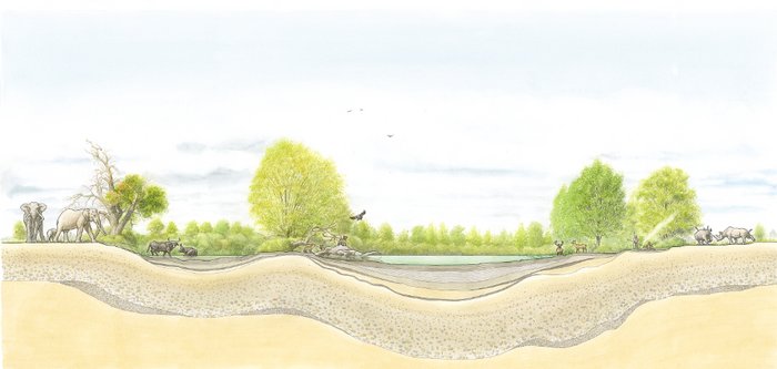 Rekonstruierter Schnitt durch das Seebecken von Neumark-Nord. © Landesamt für Denkmalpflege und Archäologie Sachsen-Anhalt, Karol Schauer.